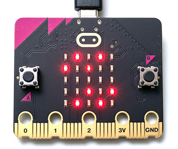 Programming Experience with the Micro:bit