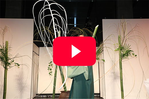 Demonstration of Ikebana(flower arrangement) Traditional Beauty/Modern Beauty