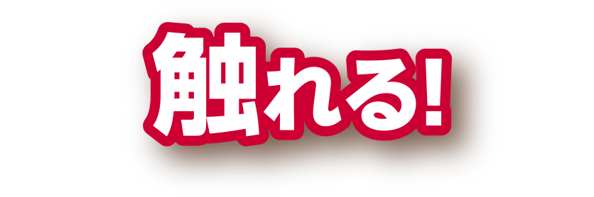 匠の技に触れる！