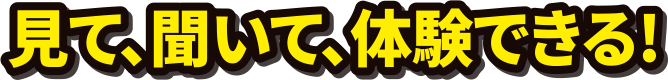 見て、聞いて、体験できる!