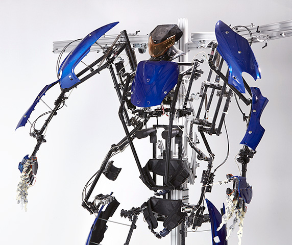 Robot Piloting Experience